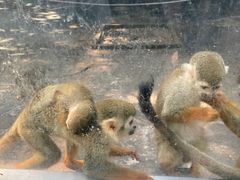 -秦皇岛野生动物园