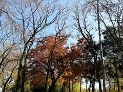 -元大都城垣遗址公园