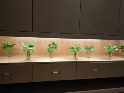 -觅屿日式脱毛美肤