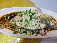 -宾湖农庄·农场特色(太湖龙之梦店)