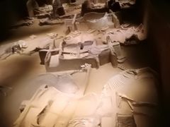 -洛阳周王城天子驾六博物馆