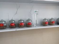 -本真坊美容美体沙龙