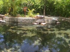 -三亚珠江南田温泉度假区