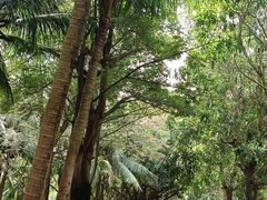 -白沙门生态公园