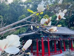 -深圳国际园林花卉博览园