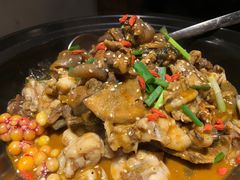 -状元甲·湖北甲鱼大王(汉口火车站店)