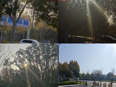 -金银湖国家城市湿地公园