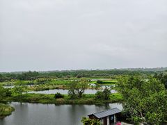 -沙美村
