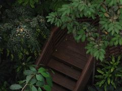 -郑州植物园