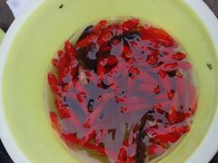 -白塘生态植物园