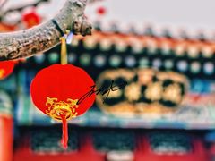 -颐和园