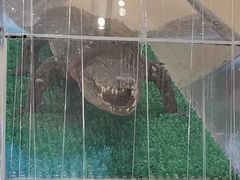 -米莱欧百货(吉利店)