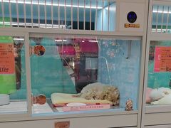 -FAELING PETS美天灵宠物(合生汇店)