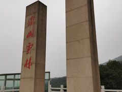 -铁山坪森林公园