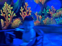 -常州海昌海洋探索馆