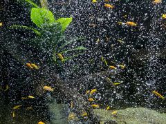 -常州海昌海洋探索馆