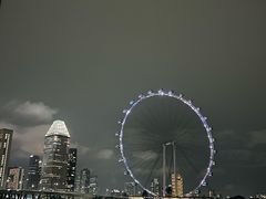 -新加坡摩天观景轮
