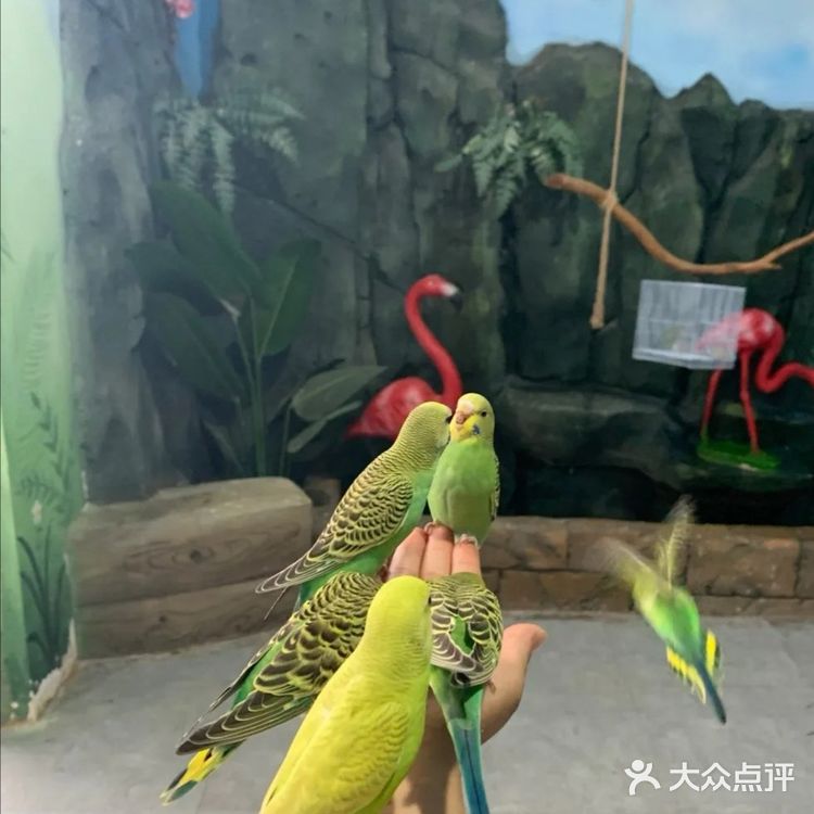 三千多平米的室内动物园你去过吗？