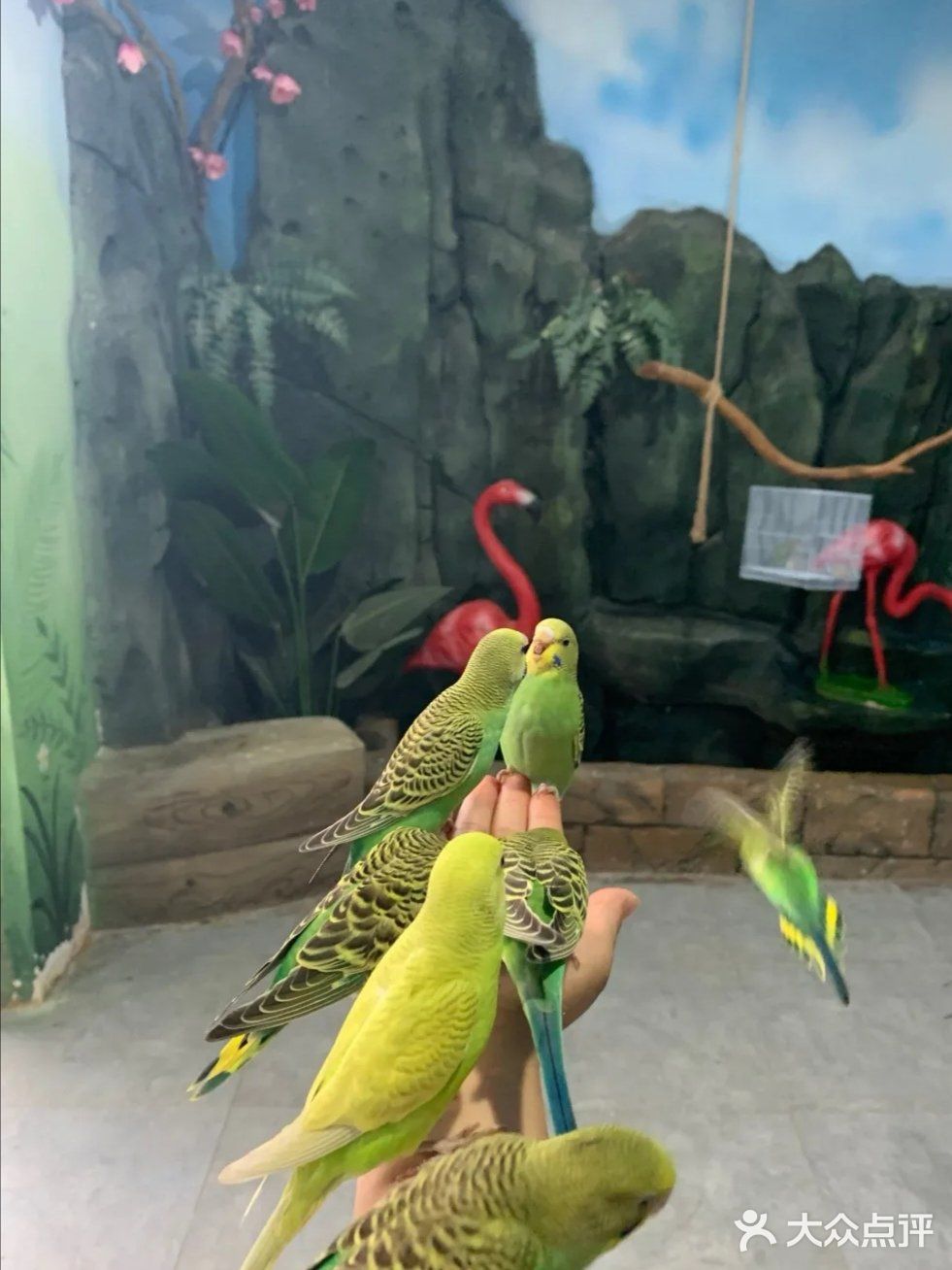 三千多平米的室内动物园你去过吗？