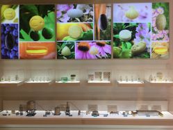 -安利上海体验馆