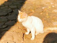 -雨花胜境