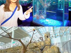 -巧克力渔家.小船海鲜胶东菜(万平口店)