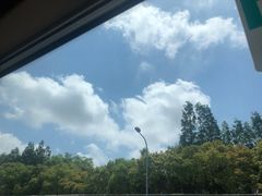 -麦新格精品酒店(上海浦东机场川沙迪士尼店)