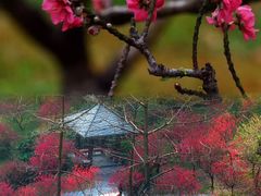 -桃花涧