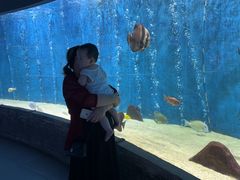 -合肥海洋世界