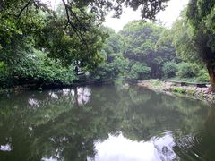 -成都市活水公园