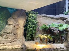 -上海海洋水族馆