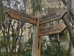 -上海崇明金茂凯悦酒店