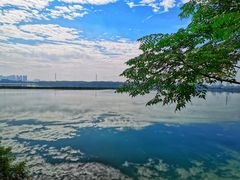 -露天矿生态公园