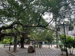 -小洲村