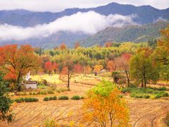 -塔川景区