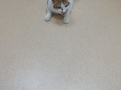 -惠康宠物医院(华能路店)