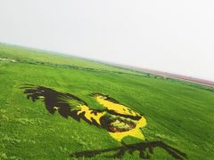 -红海滩国家风景廊道