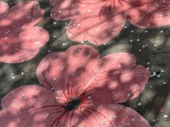 -高东镇樱花园