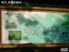 -紫竹院公园冰场