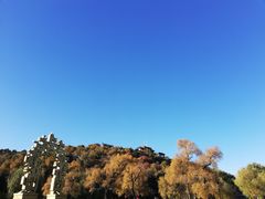 -北山公园
