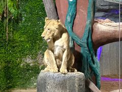 -清迈夜间动物园