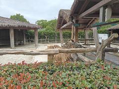 -上海野生动物园