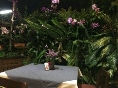 -Dash Teak House