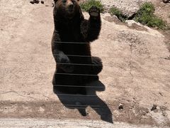 -哈尔滨北方森林动物园