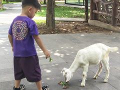 -森波拉奇妙世界