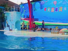 -三亚海昌梦幻海洋不夜城