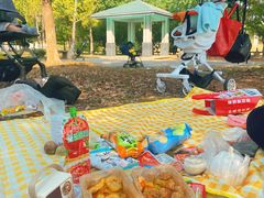 -八大山人梅湖景区