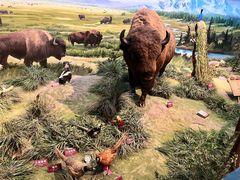 -陕西自然博物馆