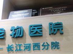 -瑞派长江宠物医院·猫科·外科·24小时夜护(谊城公寓分院)