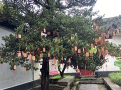 -东山雕花楼